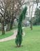 Sequoiadendron giganteum ´Pendulum´